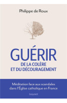 GUERIR DE LA COLERE ET DU DECOURAGEMENT - MEDITATION FACE AUX SCANDALES DE L-EGLISE CATHOLIQUE - XXX - CRER