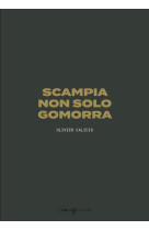 SCAMPIA NON SOLO GOMORRA - CALICIS/CERULLO - IMG PLURIELLES