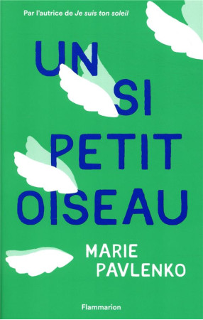 UN SI PETIT OISEAU - PAVLENKO MARIE - FLAMMARION