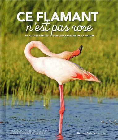 CE FLAMANT N-EST PAS ROSE! - FETERMAN GEORGES - DAKOTA