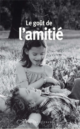 GOUT DE L'AMITIE(LE ) - COLLECTIF - MERCURE DE FRAN