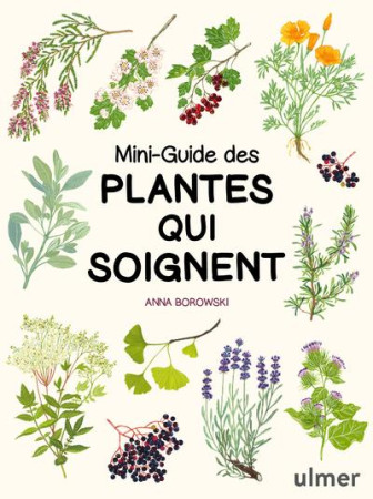 MINI-GUIDE DES PLANTES MEDICINALES - BOROWSKI ANNA - ULMER