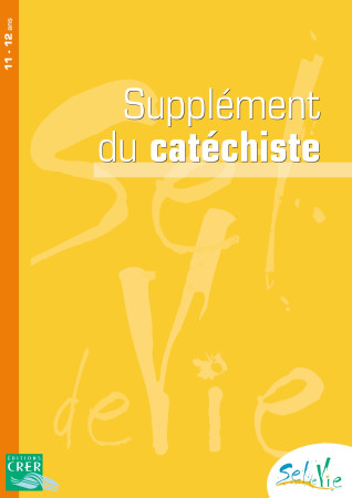 SEL DE VIE - 11/13 ANS - SUPPLEMENT CATECHI STE TOME 1 ET 2 - DE LUÇON SERVICE DE LA CATÉCHÈSE ET DU CATÉCHUMÉNAT - CRER BAYARD